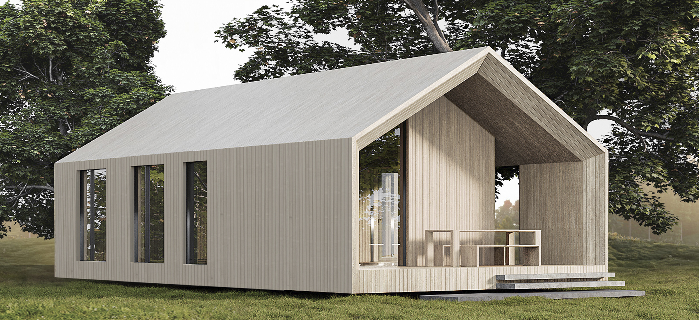 Barnhouse 7х13 F: Визуализация